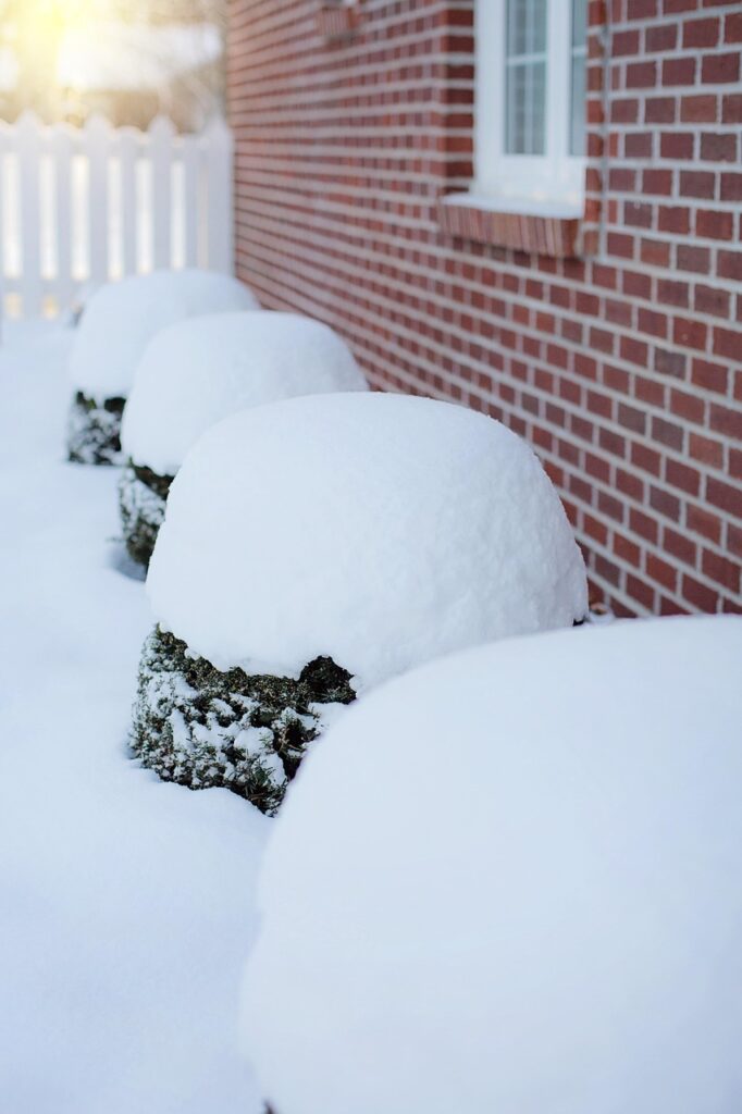 heavy snow, snow, snow on bushes, snowfall, outdoors, winter, nature, covered
