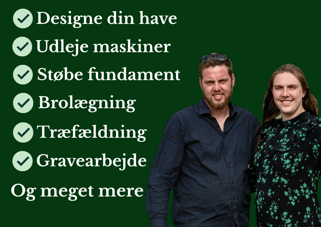 designe din have(3)